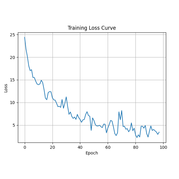 Training Loss Curve